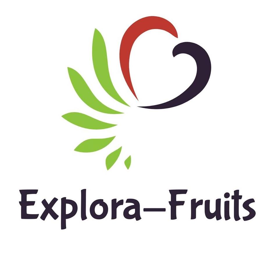 Explora-Fruits