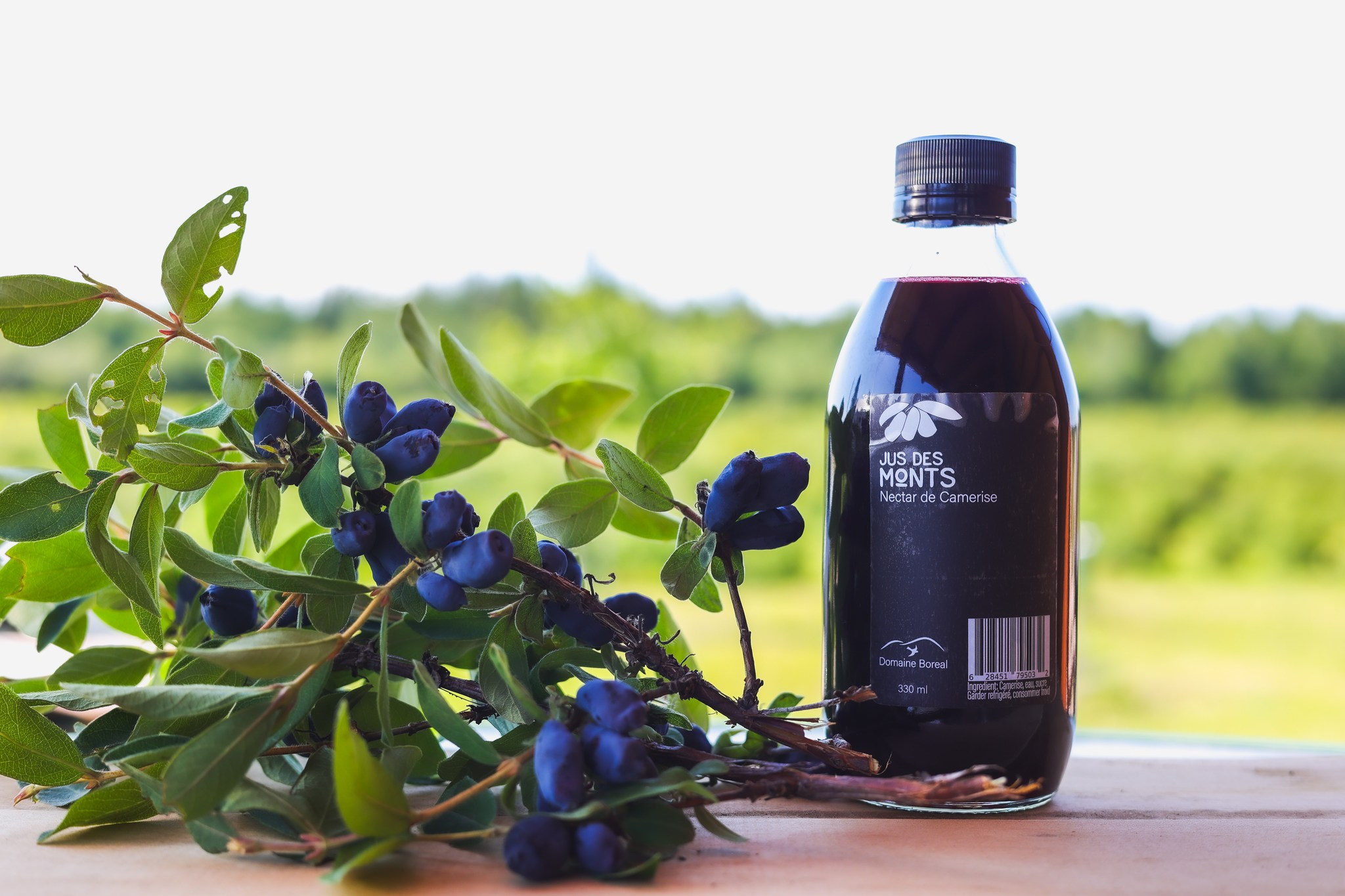 Gestion Agricole Boréal (Domaine Boréal)